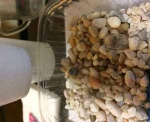 The world needs science, but the young need it more